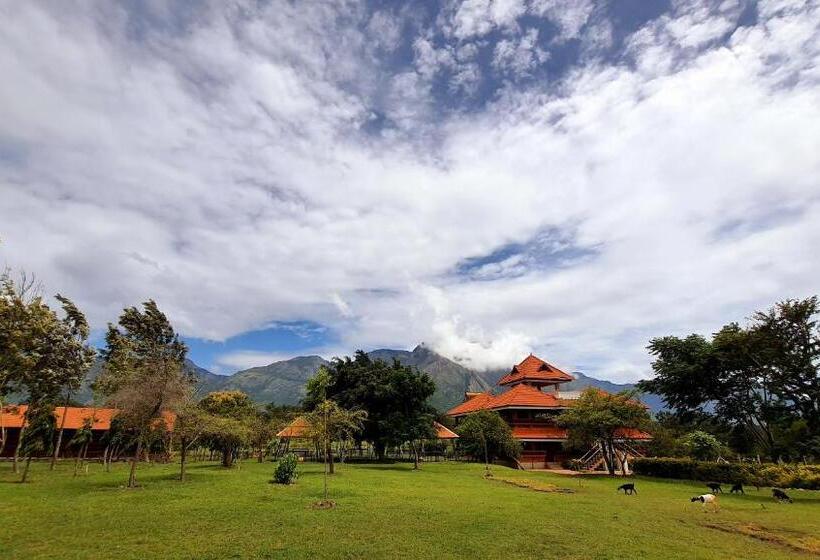 Resort Avadale Masinagudi   Stag Groups Not Allowed