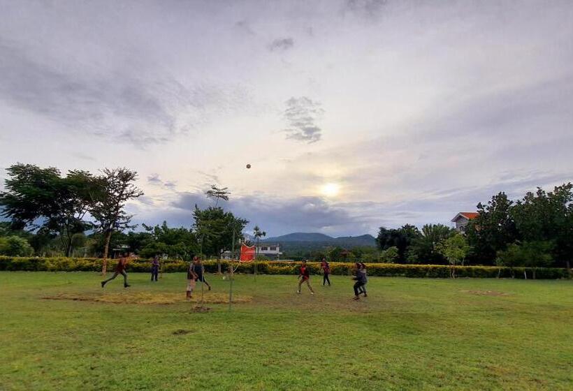 Resort Avadale Masinagudi   Stag Groups Not Allowed