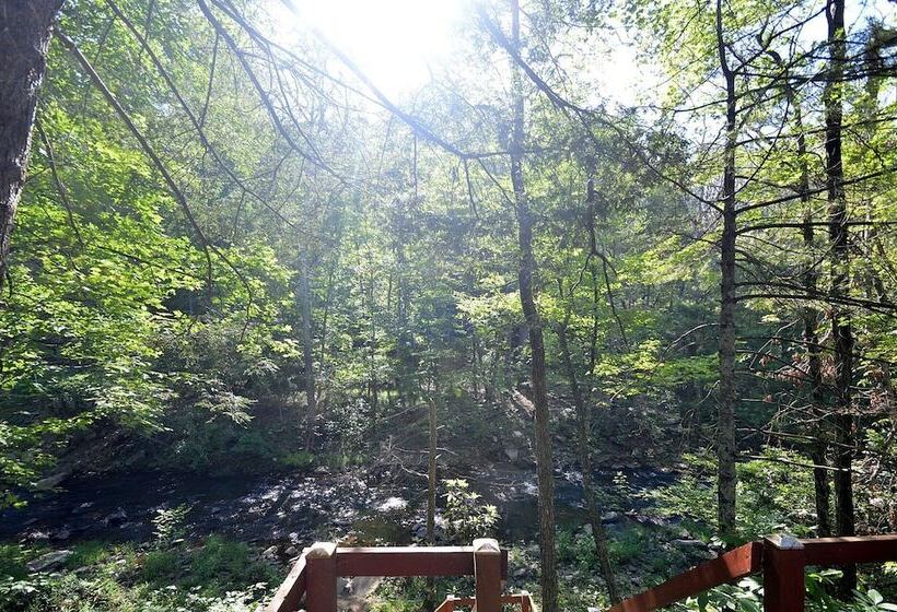 Rosies Creekside Retreat   3 Br Escape!