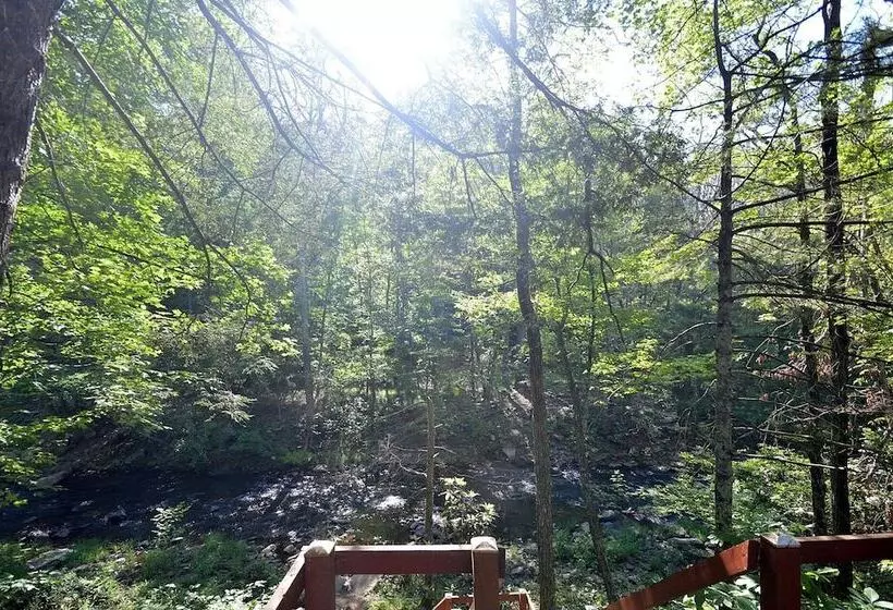 Rosies Creekside Retreat   3 Br Escape!