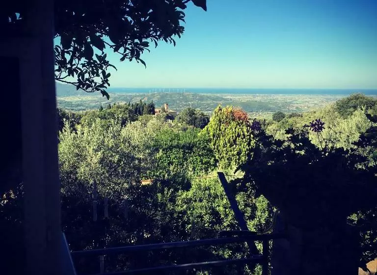 Aamiaismajoitus (B&B) Casale Degli Ulivi Prestige
