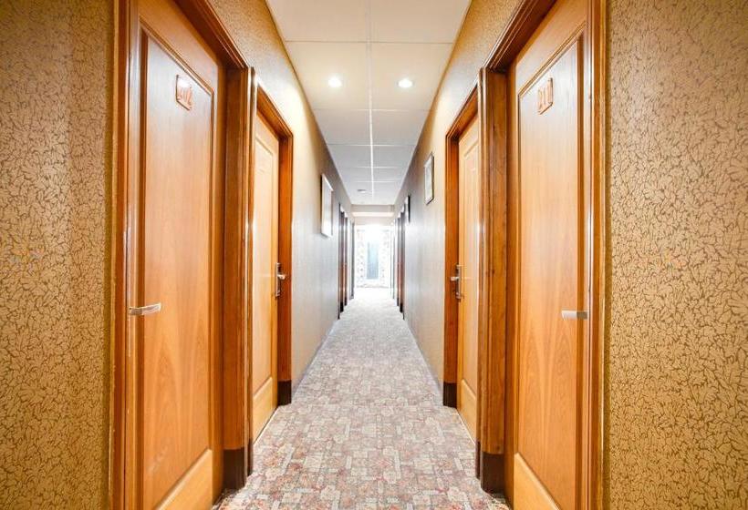 Hotel Oyo 3822 Mine Home