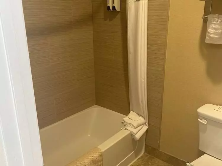 Отель Anaheim Astoria Inn & Suites