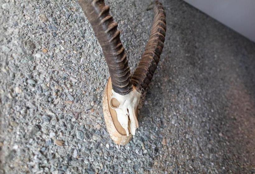 فندق B & B Longhin