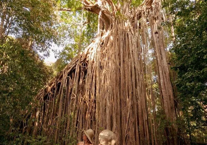 호텔 Coral Tree Inn