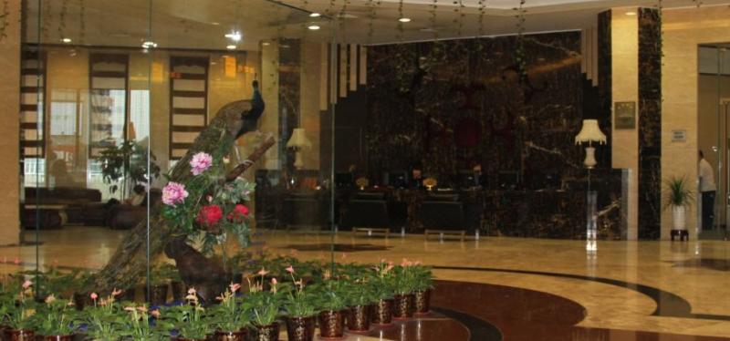 Otel International Trade