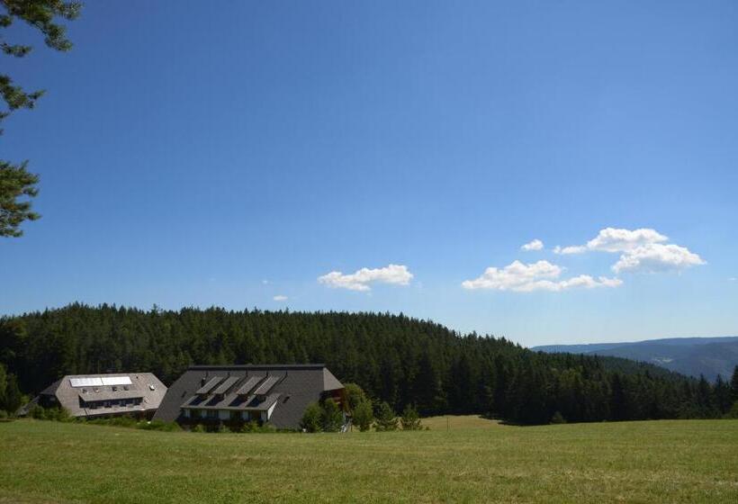 Отель Schöne Aussicht