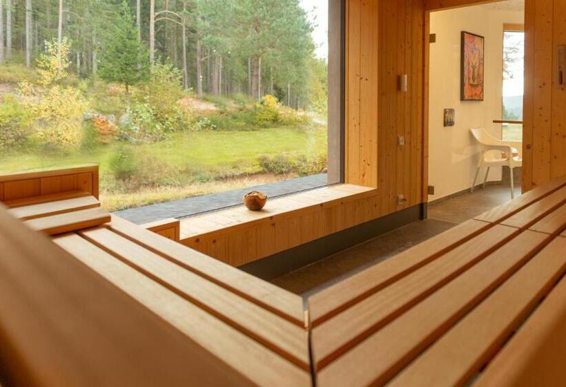 Отель Schöne Aussicht