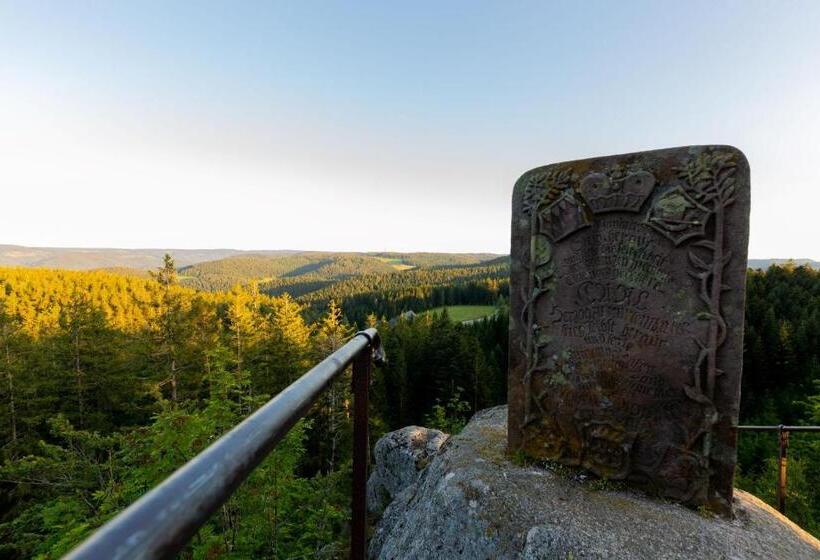 Отель Schöne Aussicht