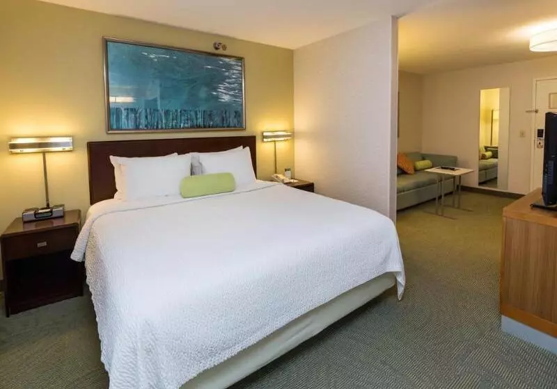 هتل Springhill Suites Des Moines West