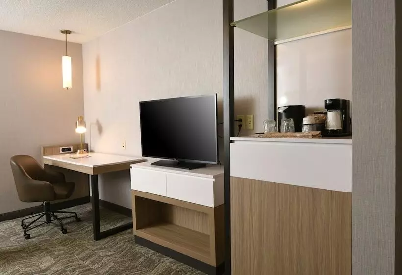 هتل Springhill Suites Des Moines West