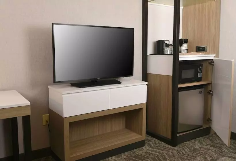 هتل Springhill Suites Des Moines West