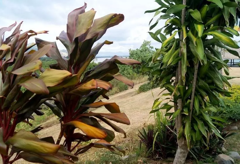 酒店 Anchorage Beach Resort