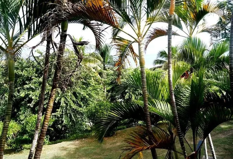 酒店 Anchorage Beach Resort