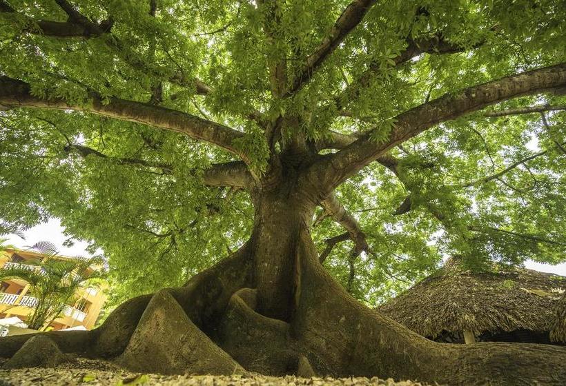 هتل Bellevue Dominican Bay All Inclusive