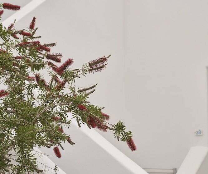 בית מלון כפרי Makris Beach