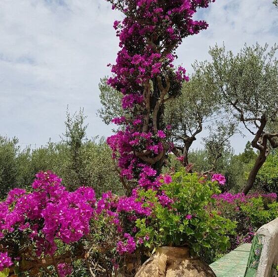 Il Rifugio B&b Capri