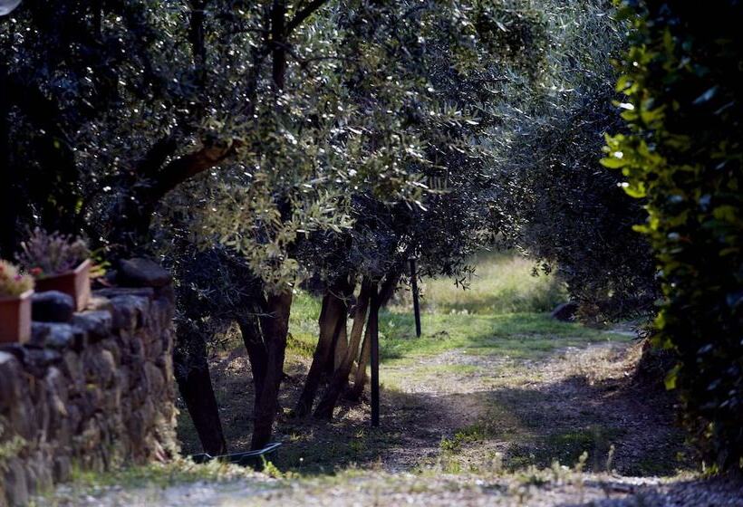 בית מלון כפרי Il Bellini