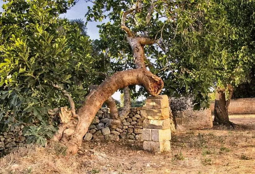 田舎風ホテル Masseria Costa