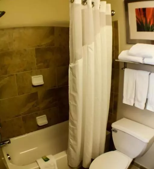 فندق Holiday Inn Express & Suites Indianapolis North   Carmel, An Ihg