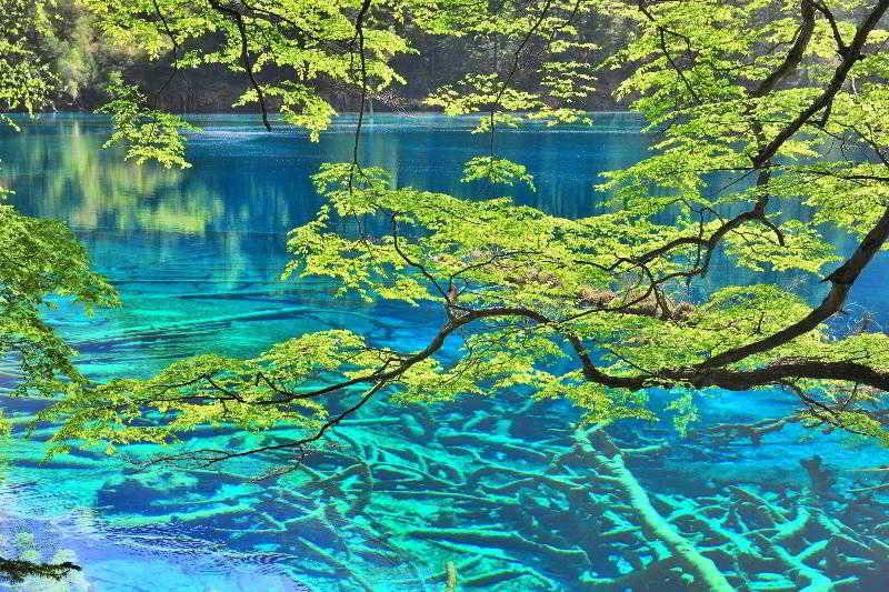 ホテル Sheraton Jiuzhaigou Resort