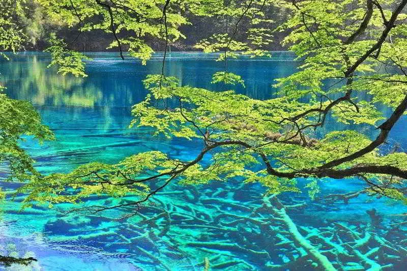 Szálloda Sheraton Jiuzhaigou Resort