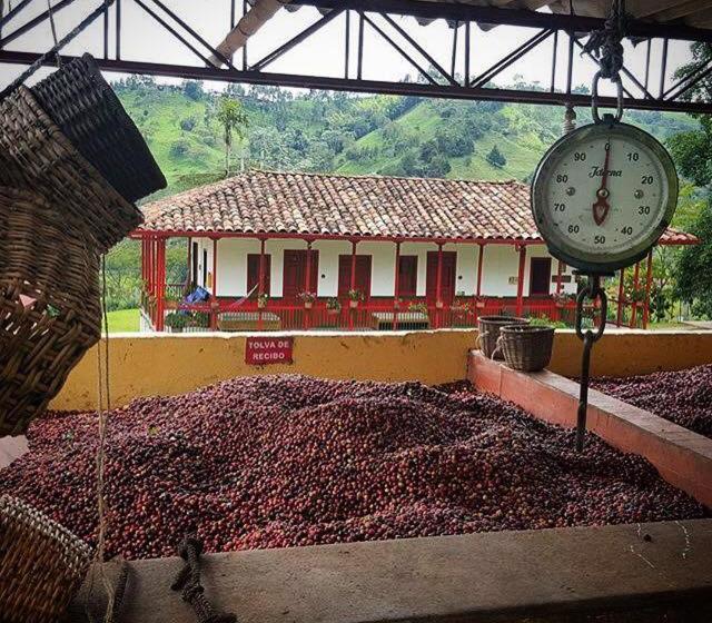 هاستل Finca El Ocaso Salento