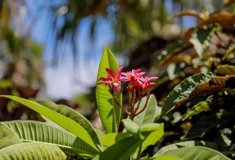 Hotelli Tai Roto Bay