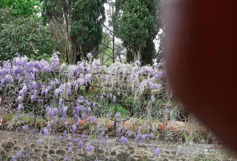 住宿加早餐  My Home Scarperia