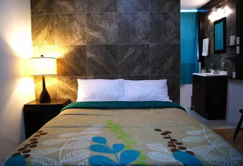 Cabo Tortuga Hotel Boutique