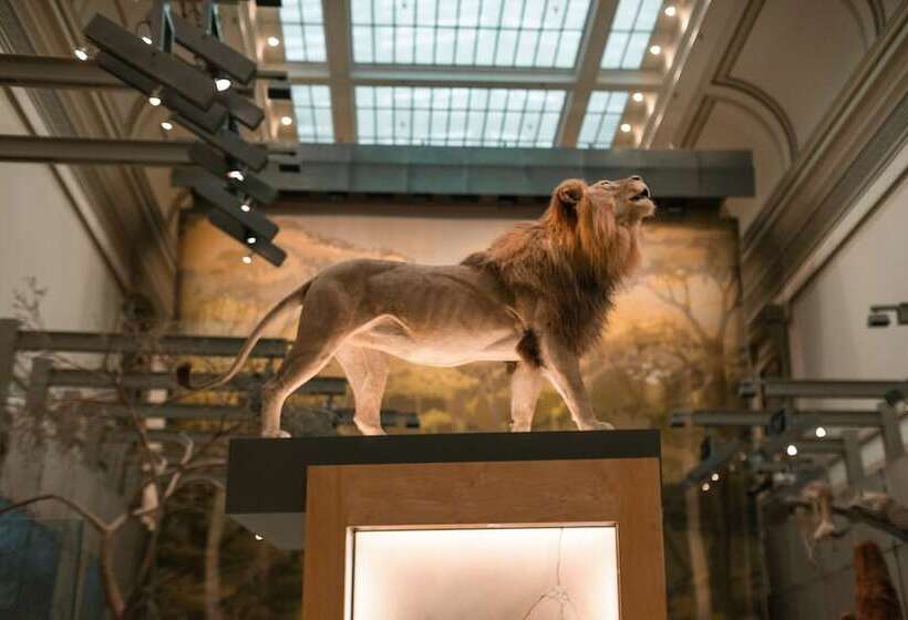 בית מלון כפרי Citizenm Washington Dc Capitol