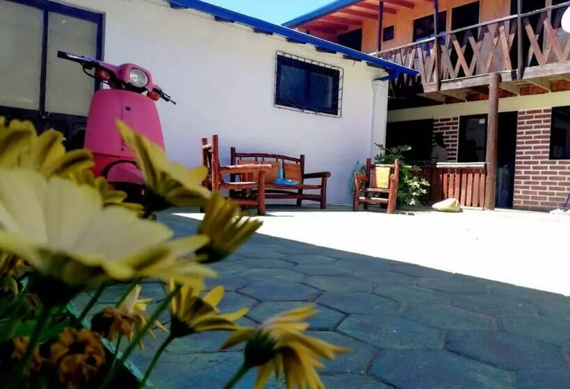 هتل Hostal Traveland