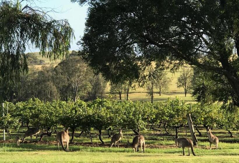 ホテル Kinloch Cottage Renovated To New On Daisy Hill Vineyard