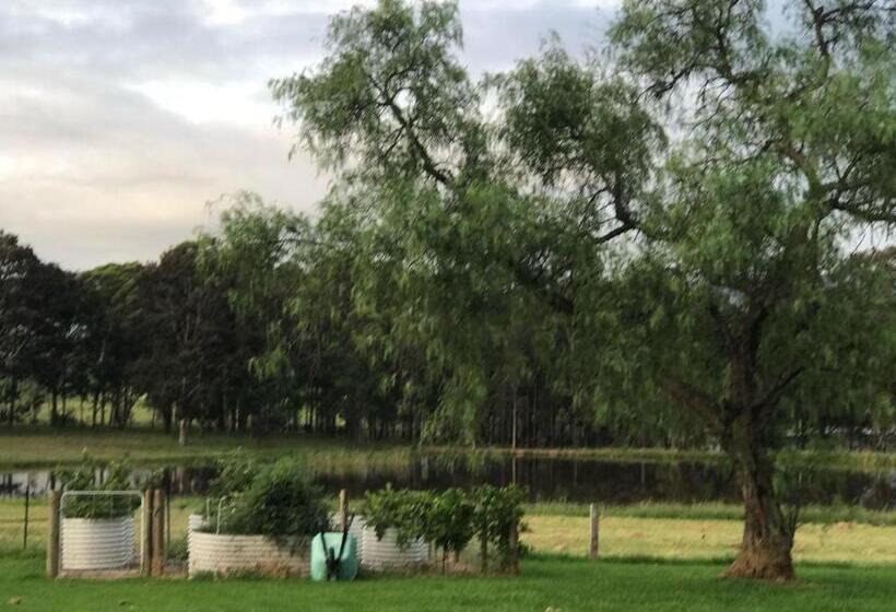 ホテル Kinloch Cottage Renovated To New On Daisy Hill Vineyard