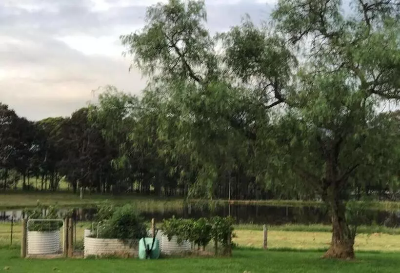 ホテル Kinloch Cottage Renovated To New On Daisy Hill Vineyard