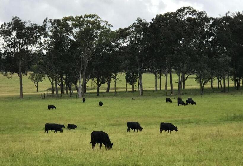 ホテル Kinloch Cottage Renovated To New On Daisy Hill Vineyard