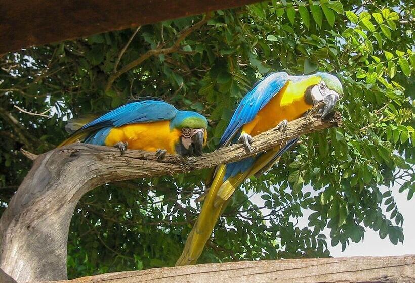 בית מלון כפרי Fazenda Araras