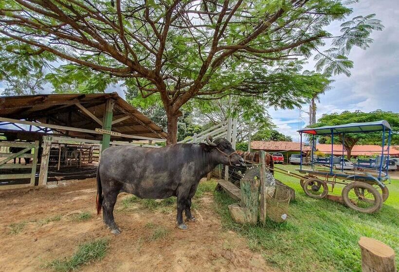 בית מלון כפרי Fazenda Araras