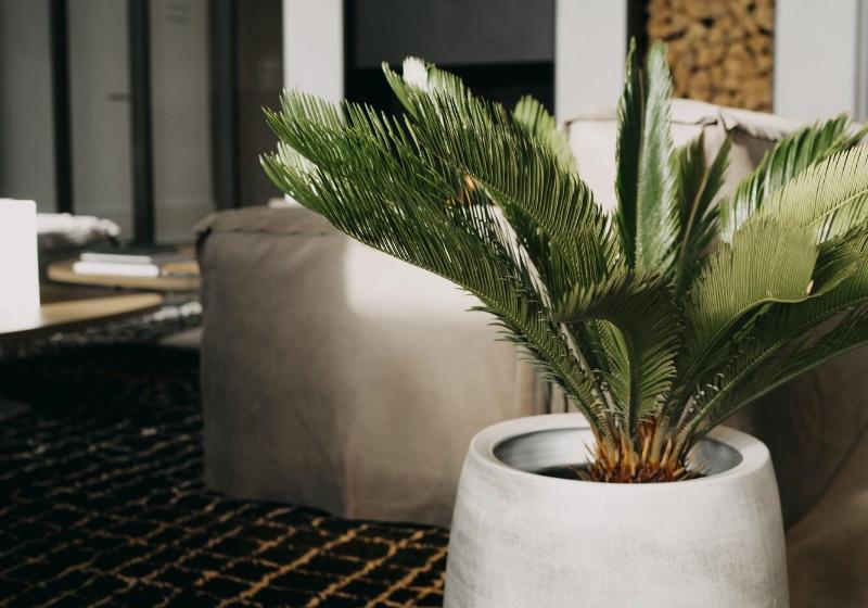 בית מלון כפרי Strand