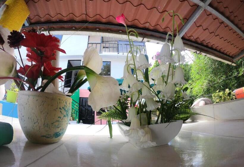 בית מלון כפרי Cabinas Cafe Del Mar