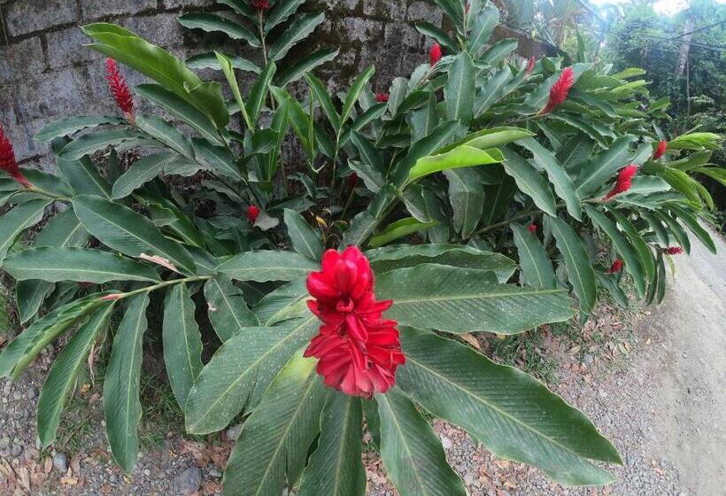 בית מלון כפרי Cabinas Cafe Del Mar