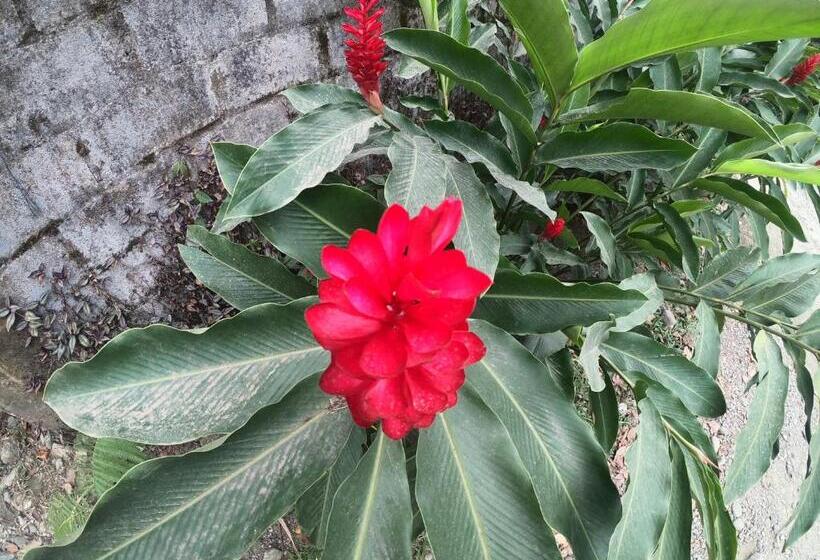 בית מלון כפרי Cabinas Cafe Del Mar