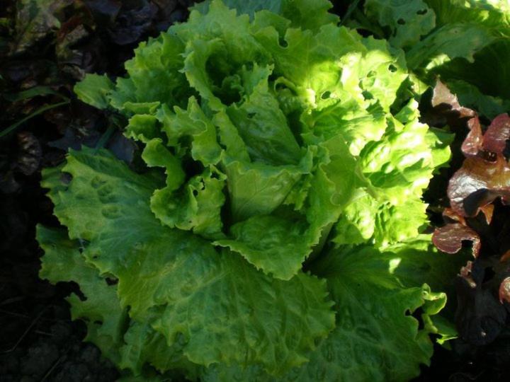 فندق Casa Rural Etxegorri