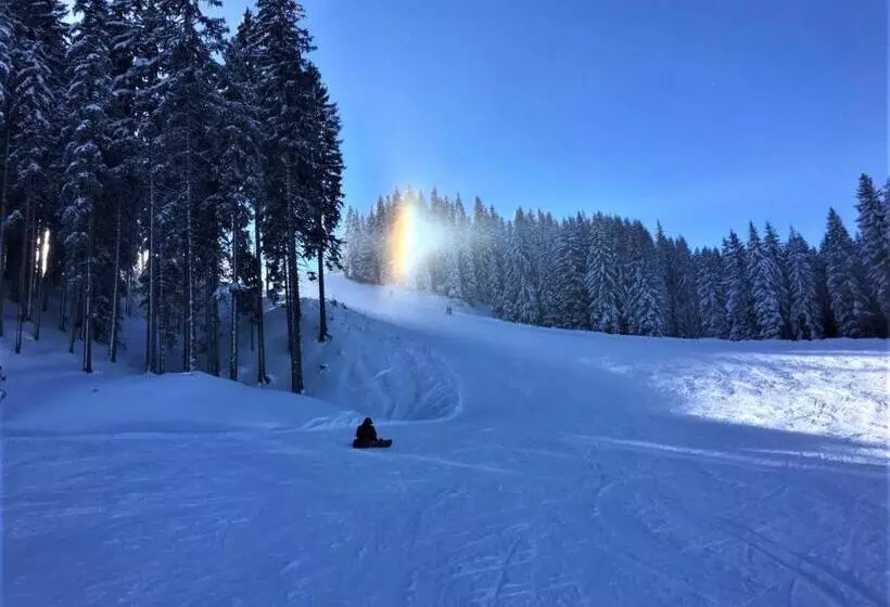 ペンション Alpenzeit