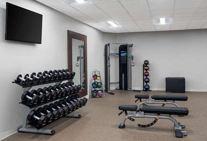 Hilton Indianapolis Hotel & Suites