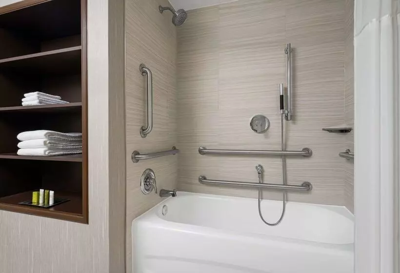 Hilton Indianapolis Hotel & Suites