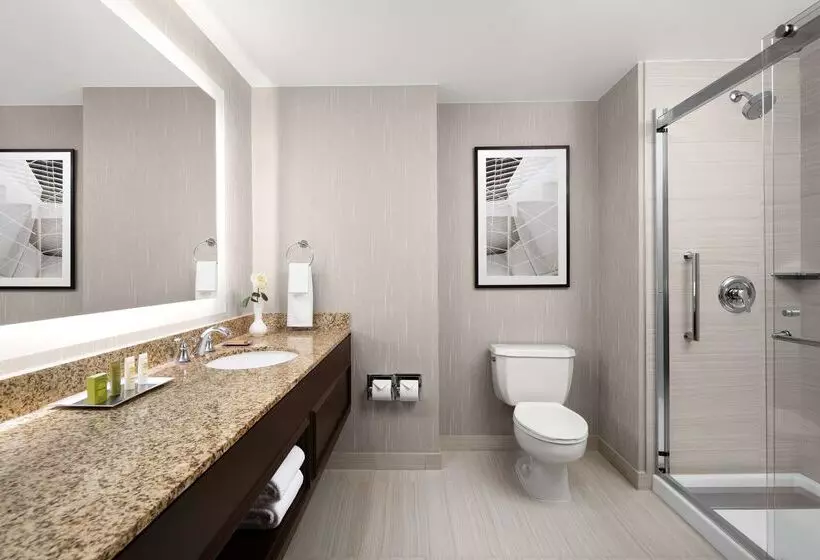 Hilton Indianapolis Hotel & Suites