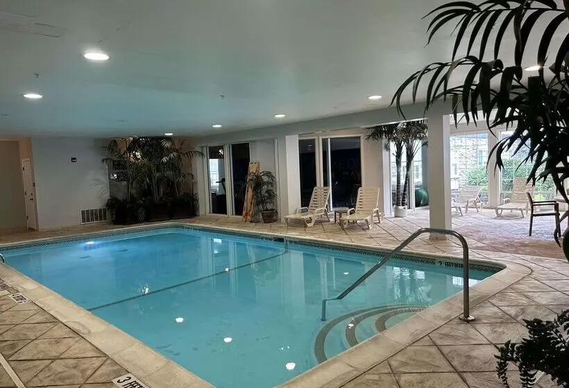 ホテル Comfort Inn & Suites East Greenbush Albany