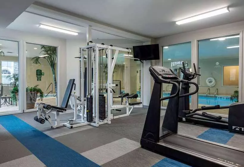 ホテル Comfort Inn & Suites East Greenbush Albany