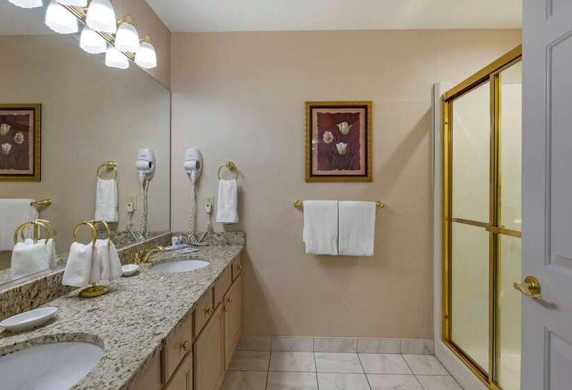 Отель Comfort Inn & Suites East Greenbush Albany